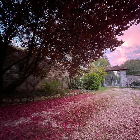 Evergreen Guesthouse Vernon  Exterior foto