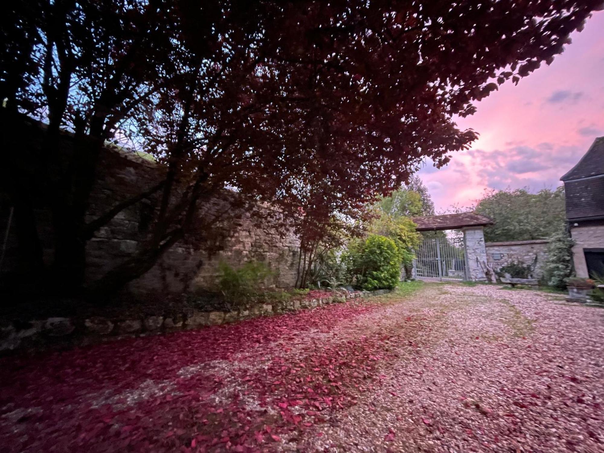 Evergreen Guesthouse Vernon  Exterior foto